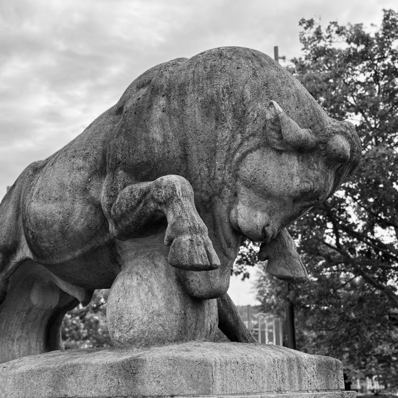 Stierstatue als Symbol für Stärke und strategisches Vorgehen bei M&A-Transaktionen